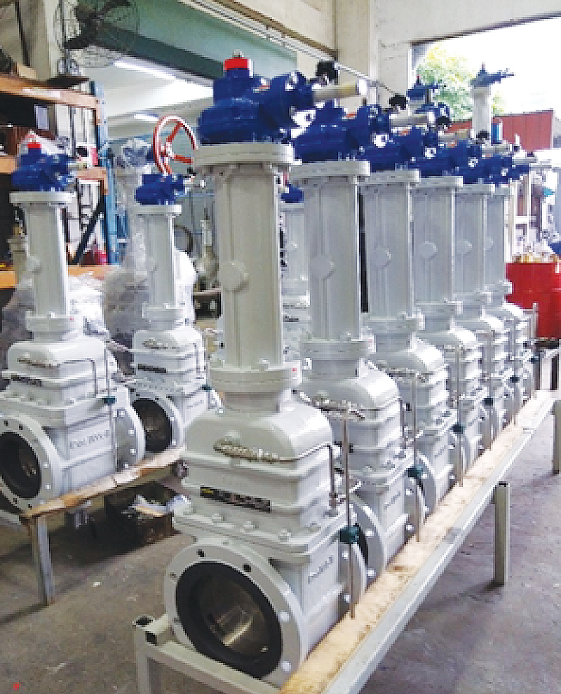 Posiwell Double Block Bleed Gate Valve - Image 2